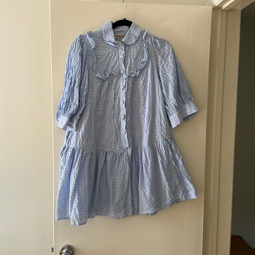 CLOSET CLOSING Sandy Liang x Target Blue gingham mini dress